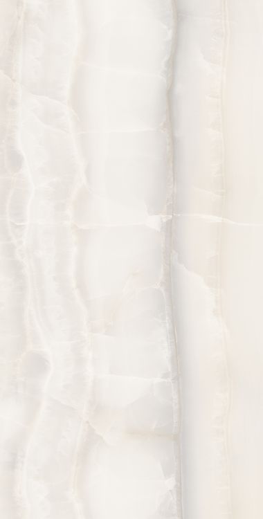 Akoya White Matte 24 x 48